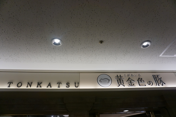鉄道乗車記録の写真:旅の思い出(1)          「黄金色の豚羽田空港店で夜ご飯」