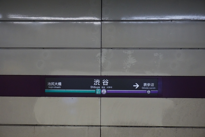 鉄道乗車記録の写真:駅名看板(1)          「半蔵門線渋谷駅」