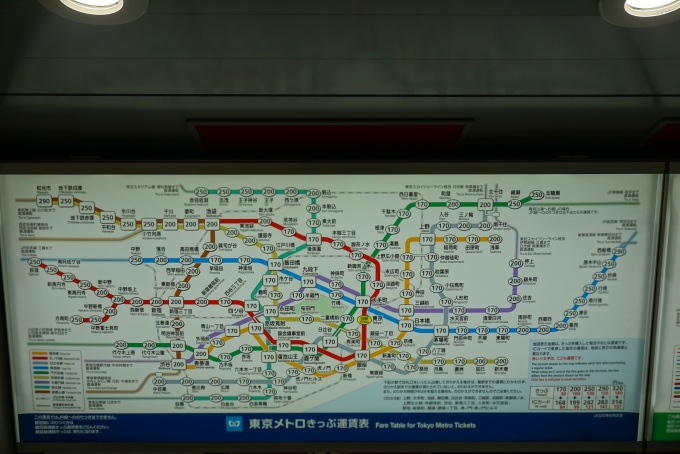 鉄道乗車記録の写真:駅舎・駅施設、様子(1)        「東京駅東京メトロきっぷ運賃」