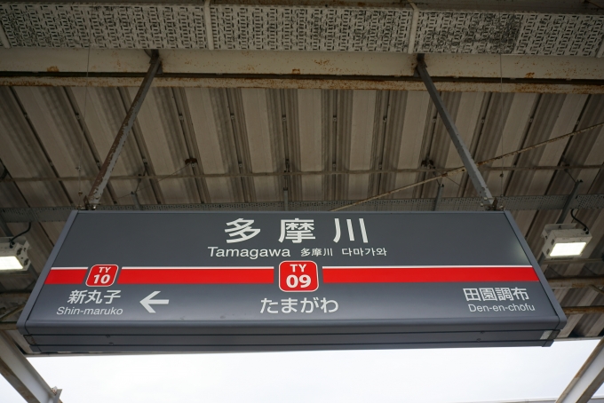 鉄道乗車記録の写真:駅名看板(3)        「東急東横線多摩川駅」