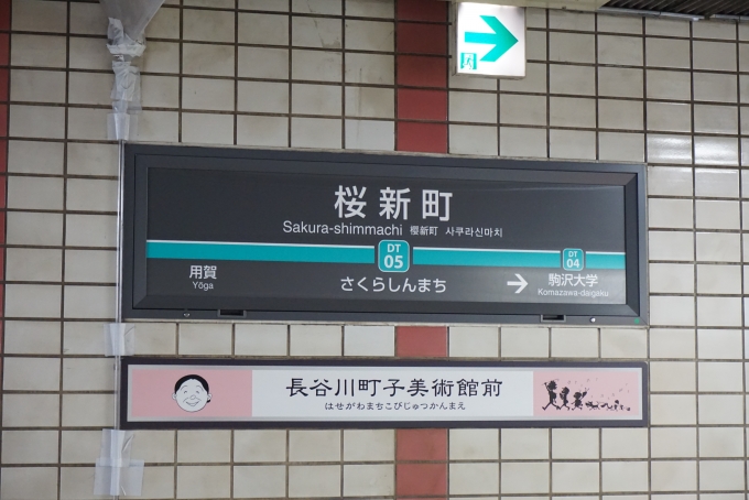 鉄道乗車記録の写真:駅名看板(4)        「桜新町駅」