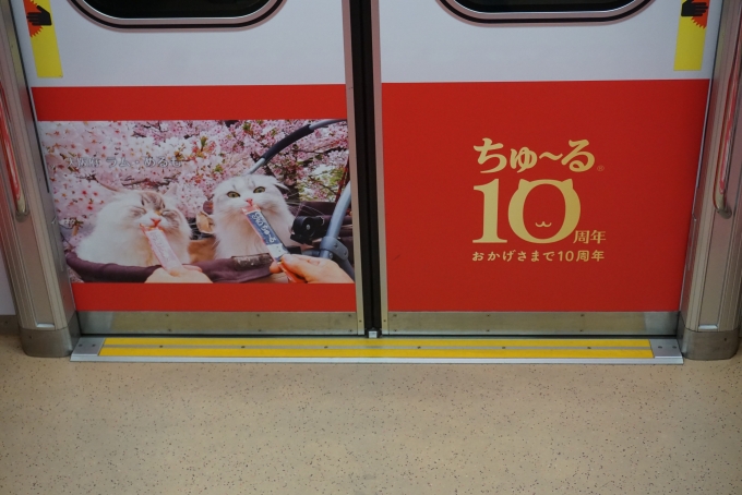鉄道乗車記録の写真:車内設備、様子(5)        「ちゅーるおかげさまで10周年」