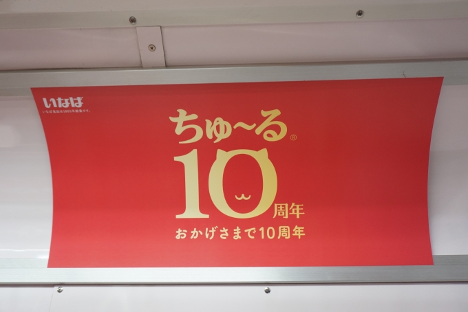 鉄道乗車記録の写真:車内設備、様子(5)        「ちゅーる10周年」