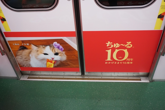 鉄道乗車記録の写真:車内設備、様子(8)        「大阪府メル姫」