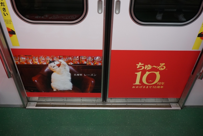 鉄道乗車記録の写真:車内設備、様子(13)        「兵庫県レーズン」