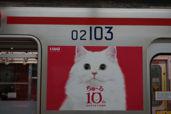 鉄道乗車記録の写真:乗車した列車(外観)(16)        「いなばちゅーる」