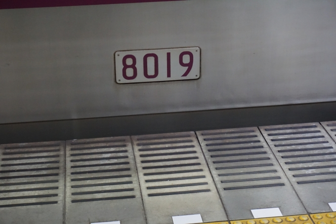 鉄道乗車記録の写真:車両銘板(4)        「東京メトロ 8019」