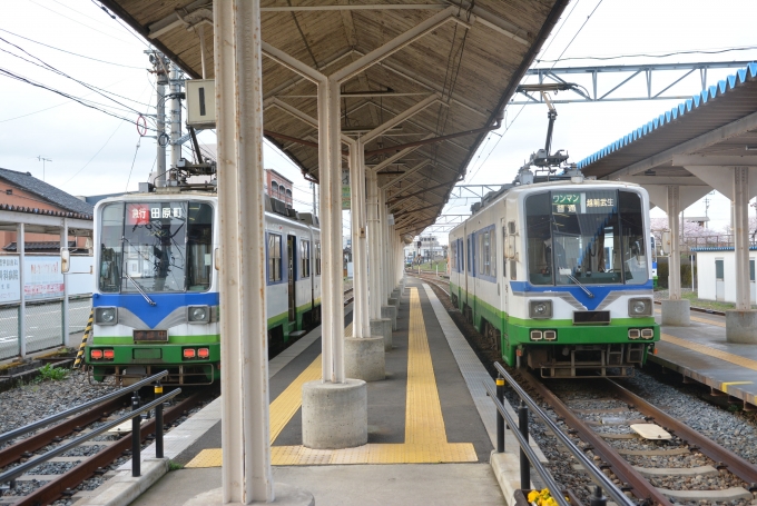 鉄道乗車記録の写真:乗車した列車(外観)(1)     「福井鉄道は越前武生駅にて
右側の車両は、田原町駅から乗って来た普通の770形に対して、
左側の車両は、これから田原町駅まで乗る急行の880形です。
」