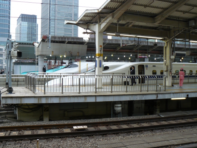 鉄道乗車記録の写真:列車・車両の様子(未乗車)(1)     「東京駅にて新幹線の並び」