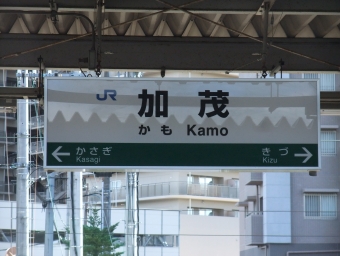 奈良駅から加茂駅の乗車記録(乗りつぶし)写真