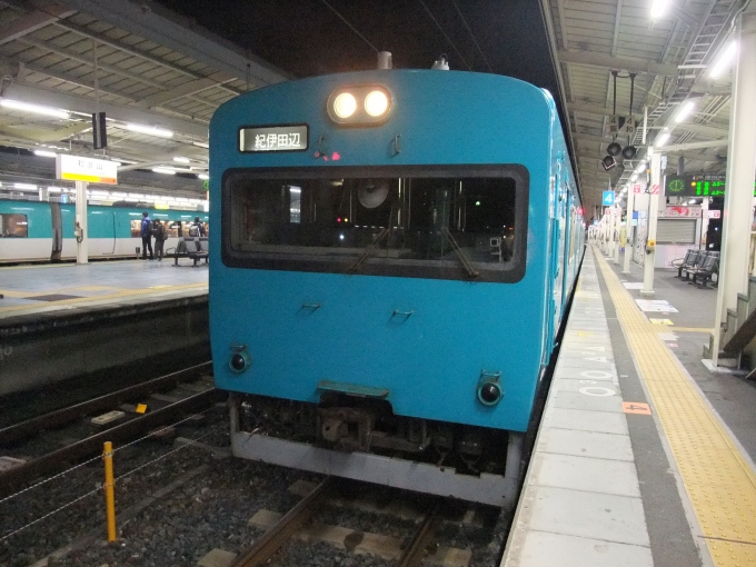 鉄道乗車記録の写真:乗車した列車(外観)(1)        「この113系、103系に似てますよね(^^)」