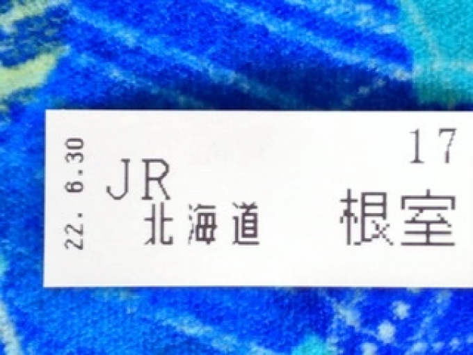 鉄道乗車記録の写真:きっぷ(2)        「　整理券」