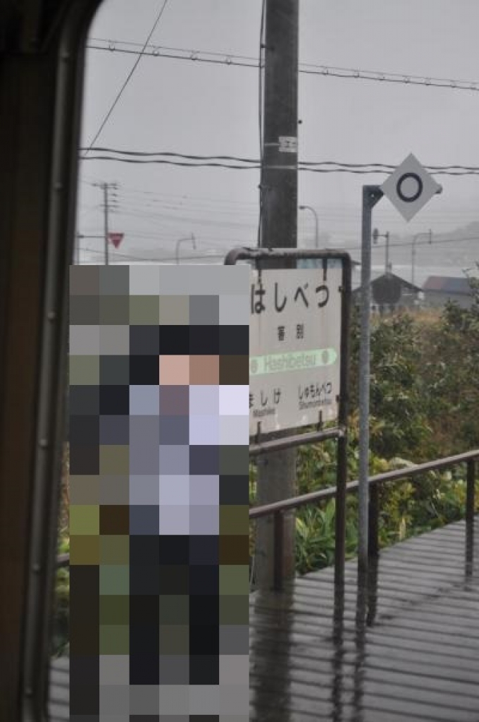 鉄道乗車記録の写真:駅名看板(18)        