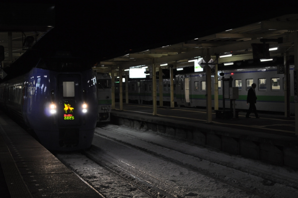 鉄道乗車記録「新得駅からトマム駅」乗車した列車(外観)の写真(1) by koreanrailfan 撮影日時:2015年01月24日