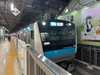 蒲田駅から東京駅の乗車記録(乗りつぶし)写真