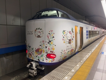関西空港駅から天王寺駅:鉄道乗車記録の写真