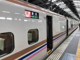 新潟駅から上毛高原駅の乗車記録(乗りつぶし)写真