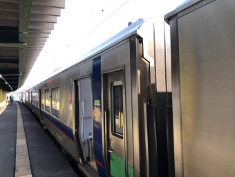 北海道医療大学駅から新琴似駅の乗車記録(乗りつぶし)写真