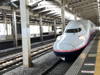 越後湯沢駅から東京駅:鉄道乗車記録の写真