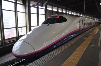 新潟駅から東京駅:鉄道乗車記録の写真