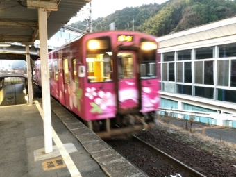 清流新岩国駅から錦町駅の乗車記録(乗りつぶし)写真
