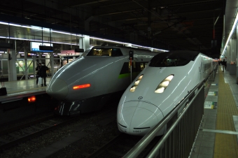 博多駅から新八代駅の乗車記録(乗りつぶし)写真
