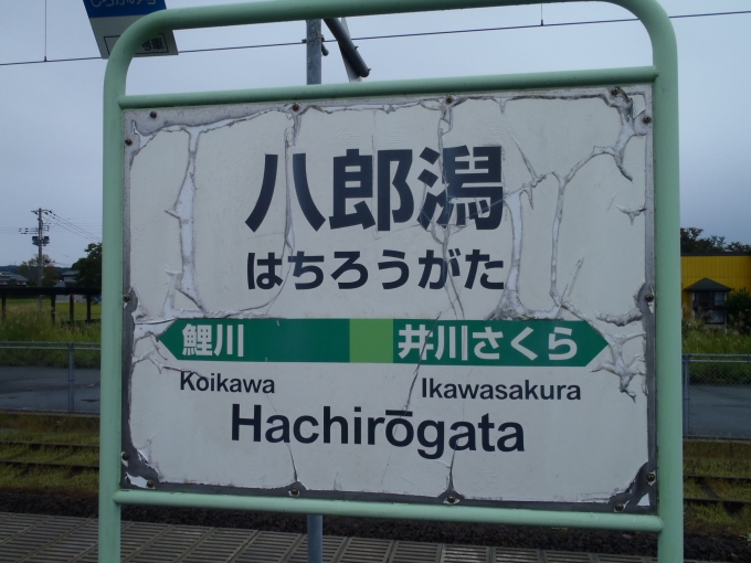 鉄道乗車記録の写真:駅名看板(3)     「八郎潟駅
だいぶ傷んでます」