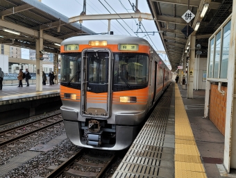 浜松駅から興津駅の乗車記録(乗りつぶし)写真