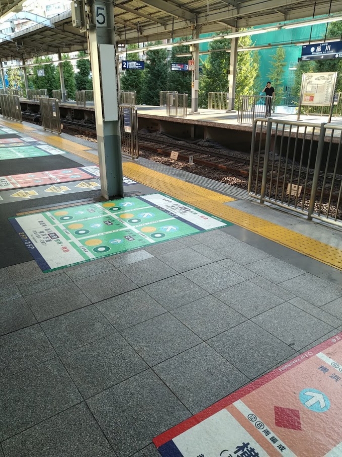 鉄道乗車記録の写真:駅舎・駅施設、様子(1)        「京急は種別はあまり多くないが、品川なんて旅行者も多い。
そこでこんな風に色分けして誘導すればわかりやすいし、導線確保もしやすい。」