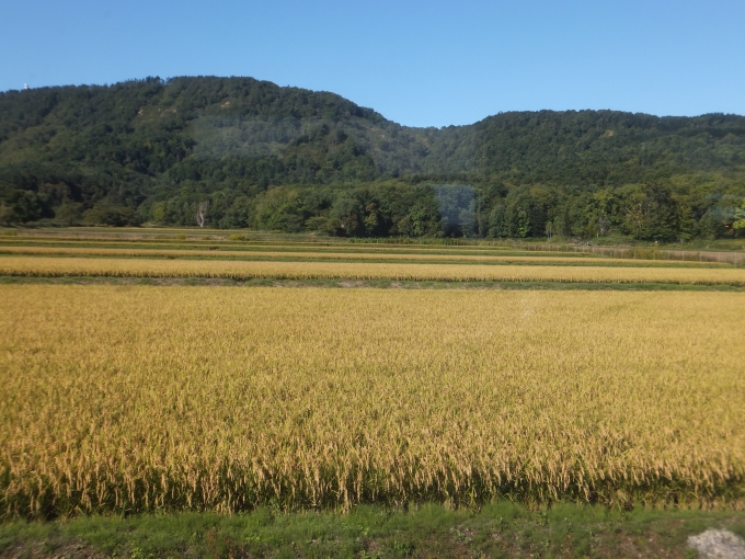 鉄道乗車記録の写真:車窓・風景(5)        「沿線風景。
いかにも北海道！って感じがする。
初北海道なのであくまでイメージ。」