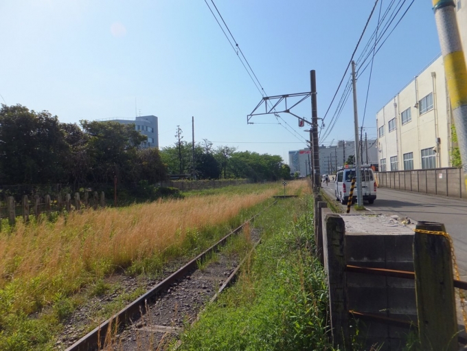 鉄道乗車記録の写真:車窓・風景(3)        「大川駅から先も、日粉の工場へ線路が伸びている。
かつては、ホキ車による輸送も行われていたらしい。見たかった。」