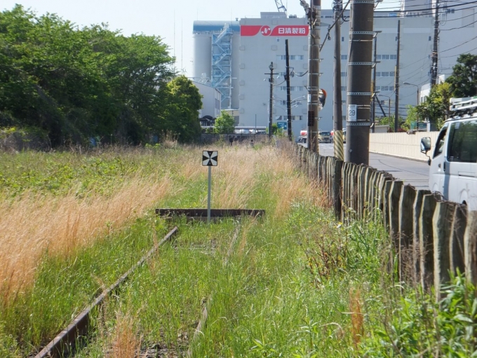 鉄道乗車記録の写真:車窓・風景(5)        「大川駅の行き止まり表示。
恐らく、二度と線路は使われないだろう。
もはや過去の遺物でしかない、そう思うと妙に侘しくなる。
」