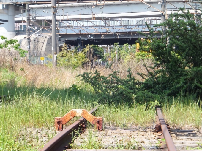 鉄道乗車記録の写真:車窓・風景(3)        「既に使われなくなった線路。
いつまで現役だったんだろう。
」