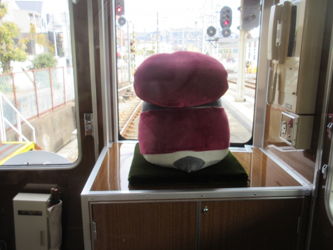 鉄道乗車記録の写真:車内設備、様子(3)        「行きも帰りもコウペンちゃんの背中を見てました(笑)」