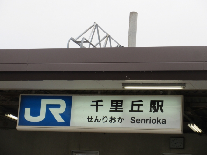 鉄道乗車記録の写真:駅舎・駅施設、様子(1)        「またバスで戻ってきましたが、電車まで少し時間があったので駅周辺を歩きました。

次は向日町駅の京都総合車両所目指します。」