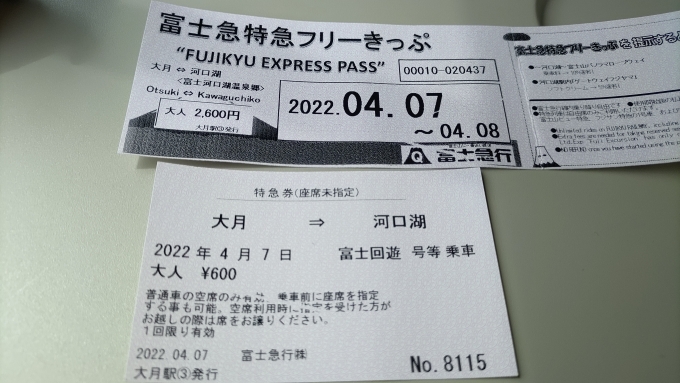鉄道乗車記録の写真:きっぷ(3)        「途中下車したいのでフリーきっぷを購入しました。
特急券は600円と安いですね。」