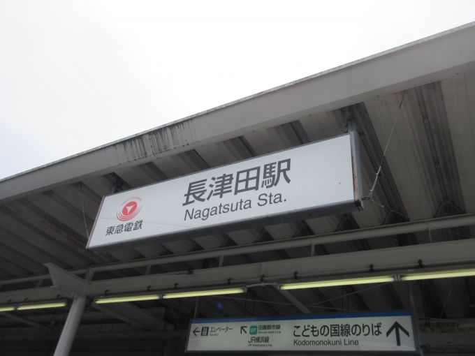鉄道乗車記録の写真:駅舎・駅施設、様子(1)        「長津田駅からこどもの国線に乗り換えようと改札を通ったら駅の外へ出ました。」