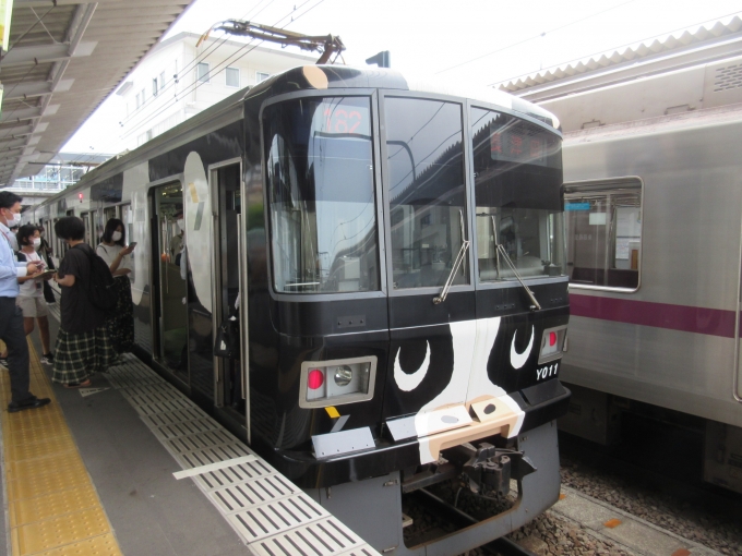 鉄道乗車記録の写真:乗車した列車(外観)(1)        「「うしでんしゃ」です。長津田駅には別の「ひつじでんしゃ」も見かけました。」