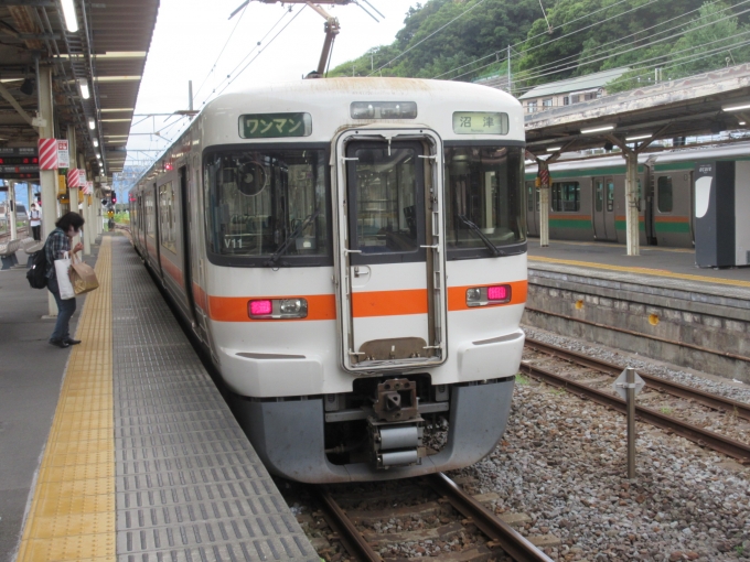鉄道乗車記録の写真:乗車した列車(外観)(1)          「御殿場線はどんな車両かなと思っていたら久しぶりの東海の車両です。
御殿場線は2両ワンマン、単線です。

富士山は残念ながら見えませんでした。
」