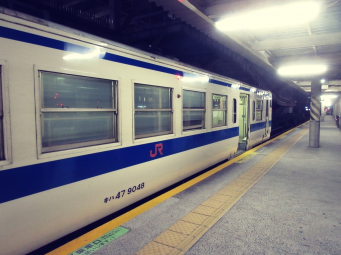 鉄道乗車記録の写真:乗車した列車(外観)(2)        「何とか無事に枕崎線に乗ることが出来て鹿児島中央駅まで戻ってきました。
今日はここで泊まります、お疲れさまでした。」