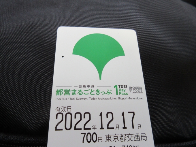 鉄道乗車記録の写真:きっぷ(3)        「一日乗車券は700円です。」
