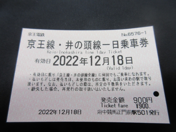 鉄道乗車記録の写真:きっぷ(3)     「京王電鉄一日乗車券は900円です。」
