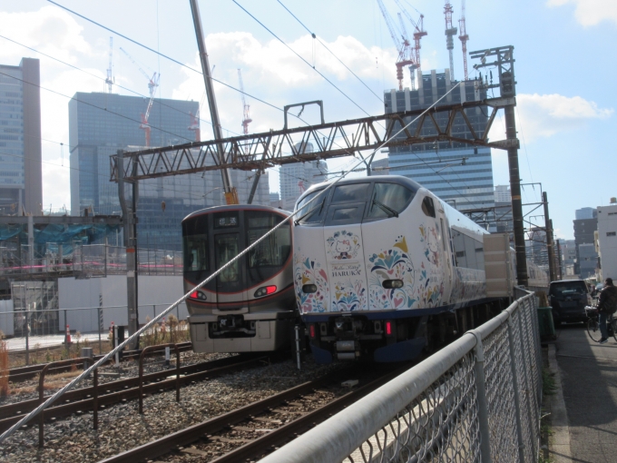 鉄道乗車記録の写真:列車・車両の様子(未乗車)(3)        「中津駅から少し行くと梅田貨物線沿いに歩道がありテクテク歩いていきました。
特急はるかが通過
」