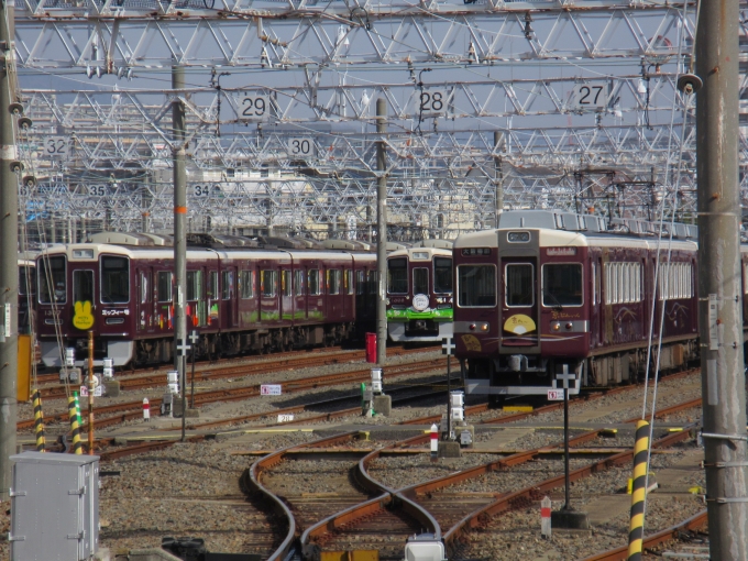 鉄道乗車記録の写真:列車・車両の様子(未乗車)(5)        「正雀駅のホームから今日の主役が見えました。
ミッフィー号もSDGsトレインも！」