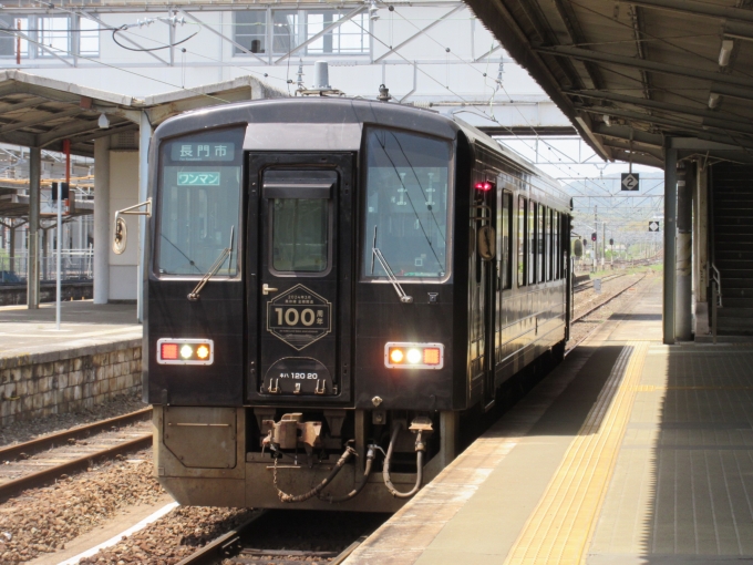 鉄道乗車記録の写真:乗車した列車(外観)(2)        「美祢線100周年記念のラッピング列車です。
ご飯を食べてまた厚狭駅に戻って改札を入ったらこの列車が停まっていました。
美祢線が3月で100周年なのと記念列車があるのは知りませんでした。

私は気動車が好きなので、この旅1番の良い想い出になりました。」