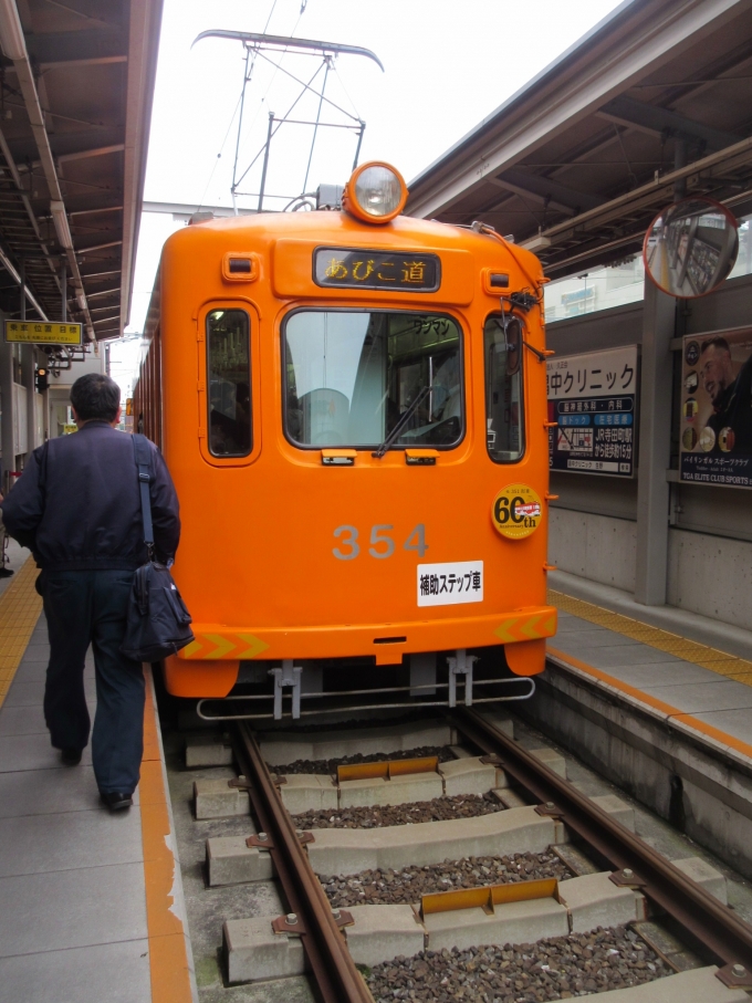 鉄道乗車記録の写真:乗車した列車(外観)(1)          「阪堺電車に乗るのは1年ぶりです。」