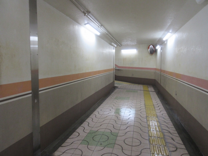 鉄道乗車記録の写真:駅舎・駅施設、様子(5)        「利用していた時は駅構内に踏切りがありましたが、地下道が出来ていました。」