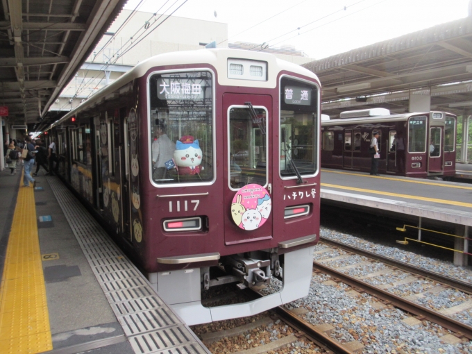 鉄道乗車記録の写真:乗車した列車(外観)(2)        「特急待ちだったので停車している間に撮影しました、大阪梅田駅では撮影する人が多いと思うので。
「ハチワレ号」に乗るのは初めてです！」