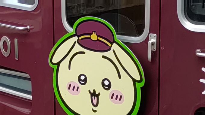 鉄道乗車記録の写真:ヘッドマーク(3)        「京都本線「うさぎ号」のHMです。」