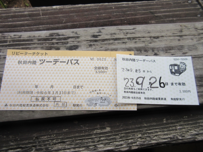 鉄道乗車記録の写真:きっぷ(5)        「明日も内陸線に乗るので2デイパス(3.500円)を購入、そうしたら来年3月31日まで利用できる乗車券を貰いました。

雪なれしていないので少し心配ですが、ぜひまた乗りに来たいです！
」